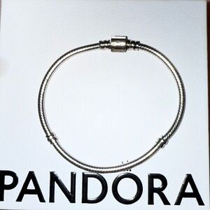 Pandora Charm Bracelet